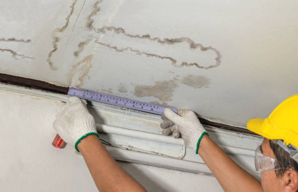 Reliable Burst Pipe Cleanup contractor in Davison, MI by Local Water Damage Repair